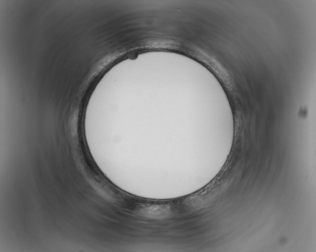 X0000116680155201001111339