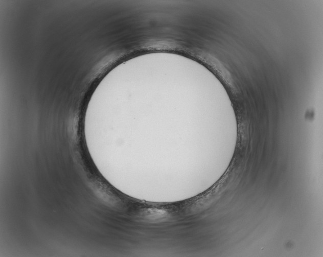 X0000116680159201001111339