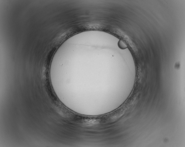 X0000116680161201001111339