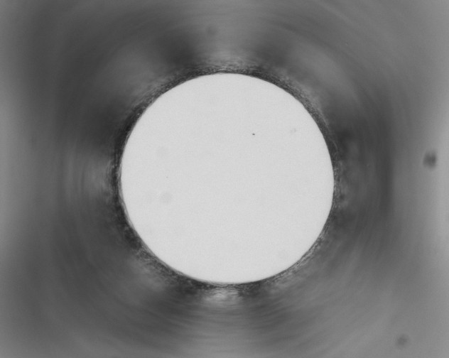 X0000116680162201001111339