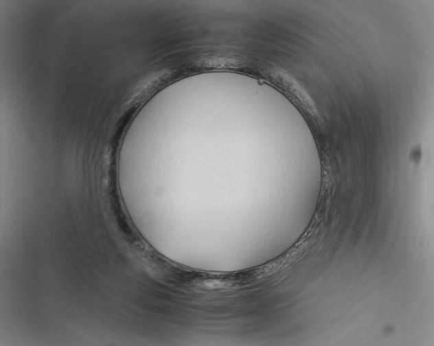 X0000116680163201001111339