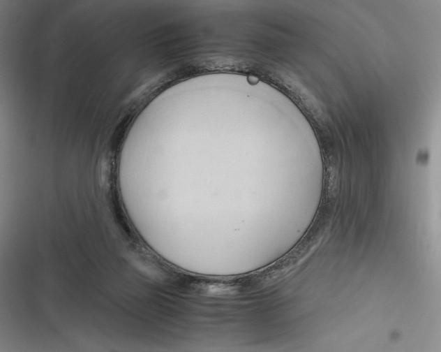 X0000116680165201001111339