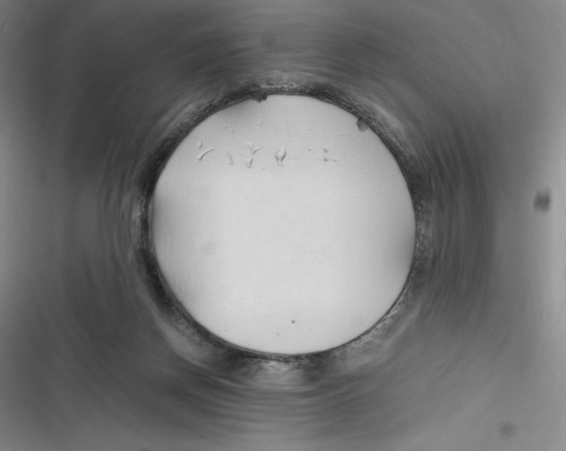 X0000116680166201001111339