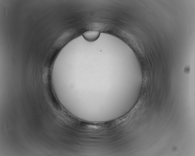 X0000116680167201001111339