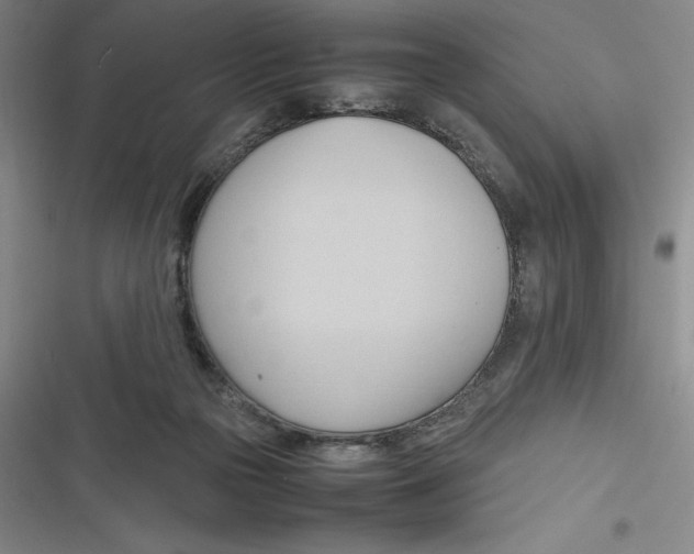 X0000116680169201001111339