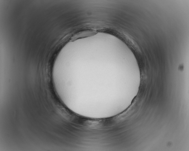 X0000116680170201001111339