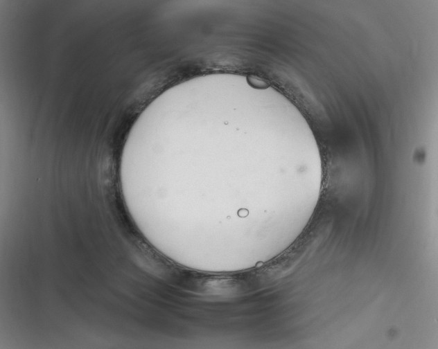 X0000116680173201001111339