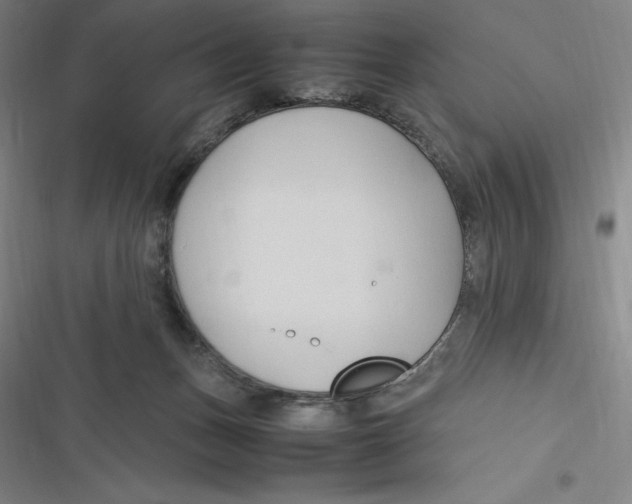 X0000116680175201001111339