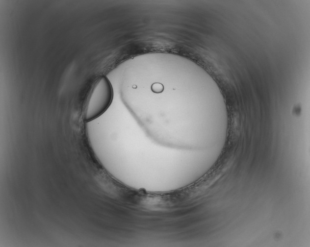 X0000116680177201001111339