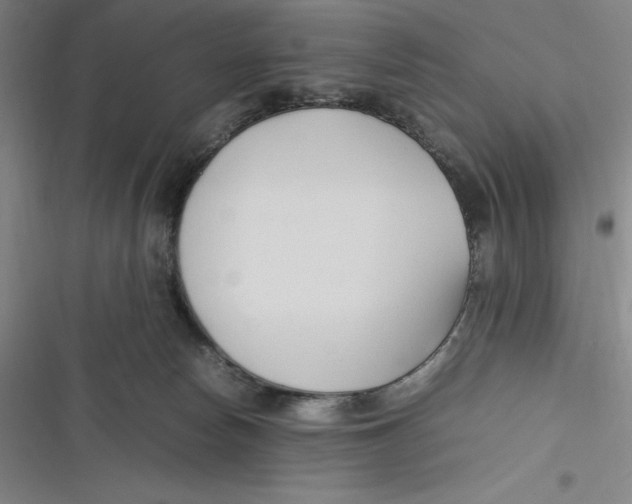 X0000116680178201001111339