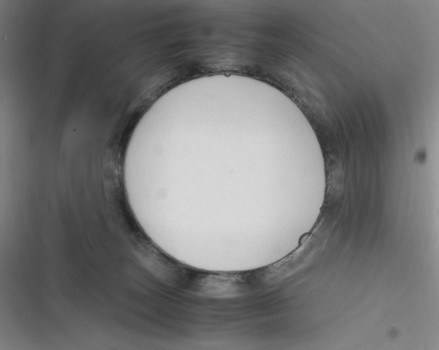 X0000116680179201001111339