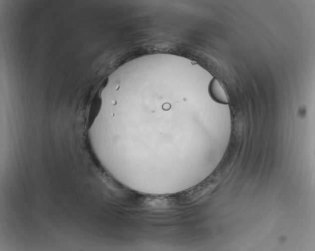 X0000116680181201001111339