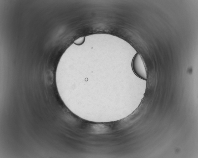 X0000116680183201001111339