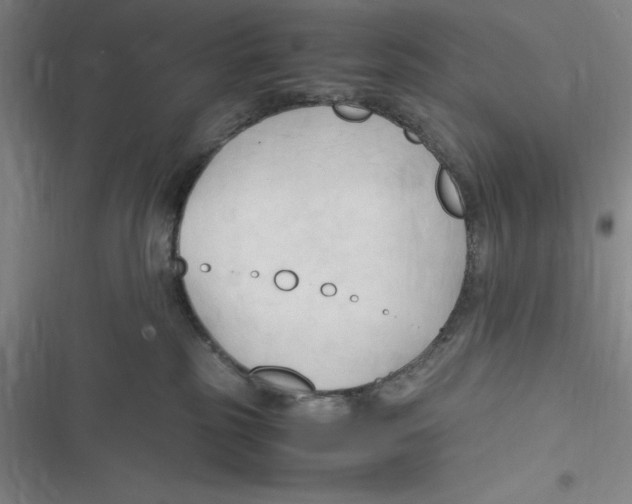 X0000116680185201001111339