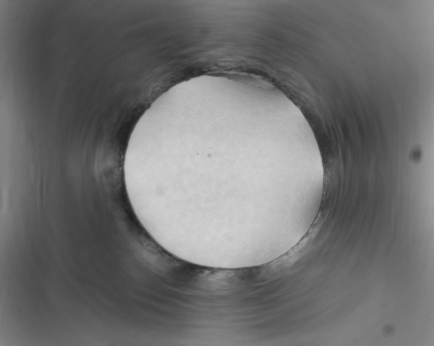 X0000116680186201001111339