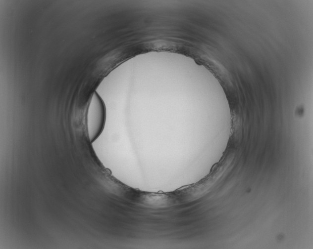 X0000116680189201001111339