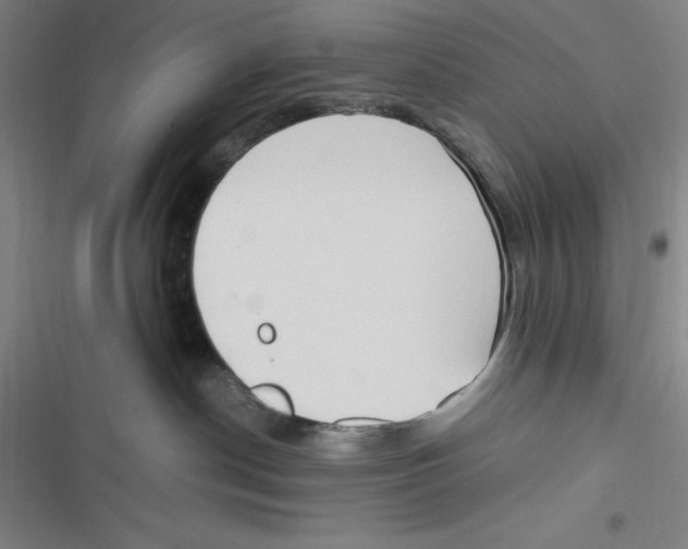 X0000116680190201001111339