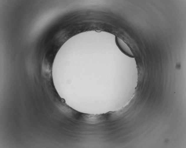 X0000116680191201001111339