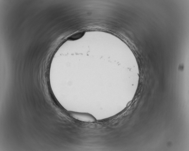 X0000116680193201001111339