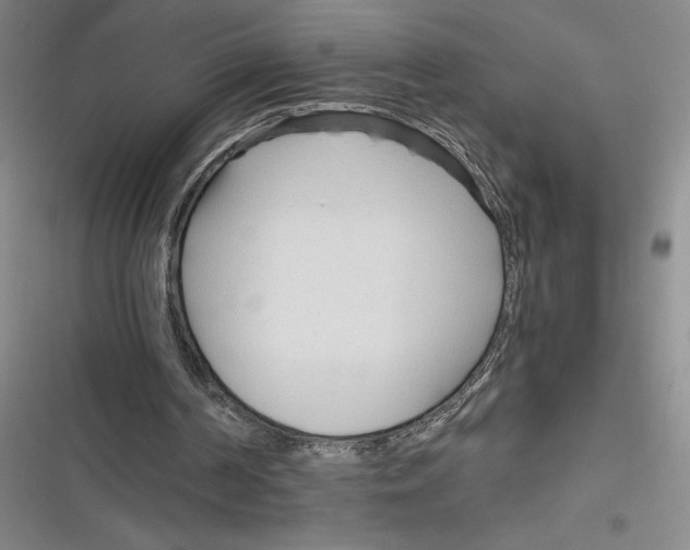 X0000116680194201001111339