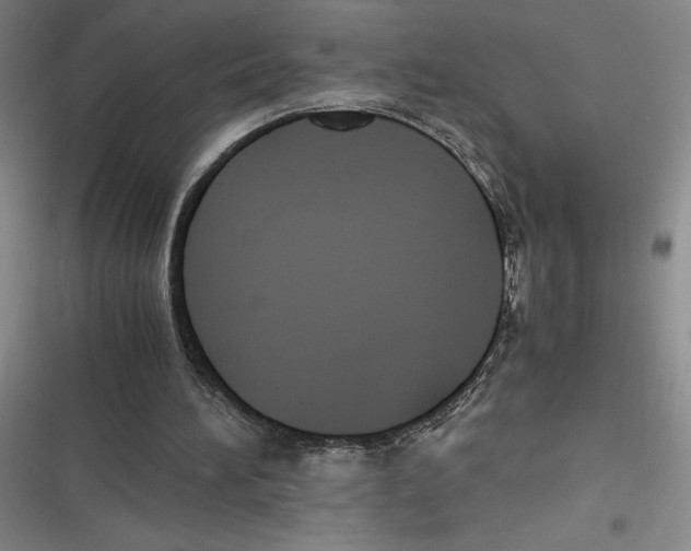 X0000116680196201001111339