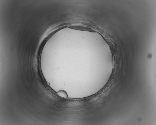 X0000116680198201001111339