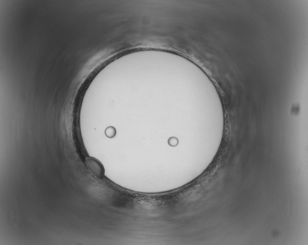 X0000116680199201001111339