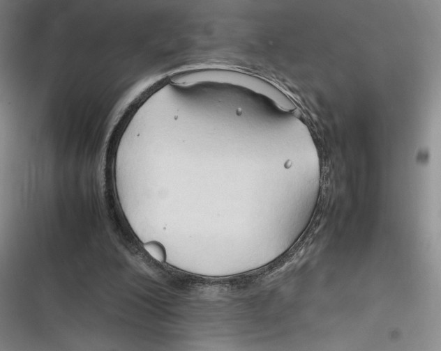 X0000116680200201001111339