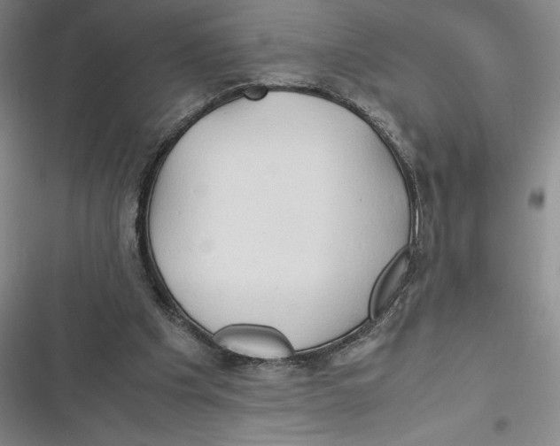 X0000116680201201001111339