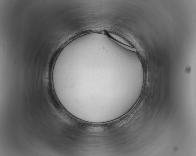 X0000116680202201001111339