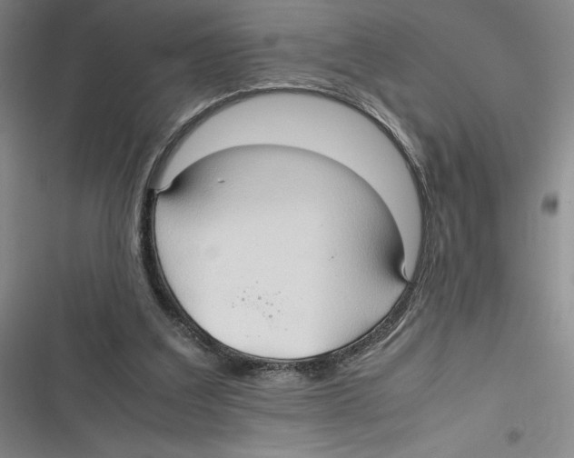 X0000116680203201001111339