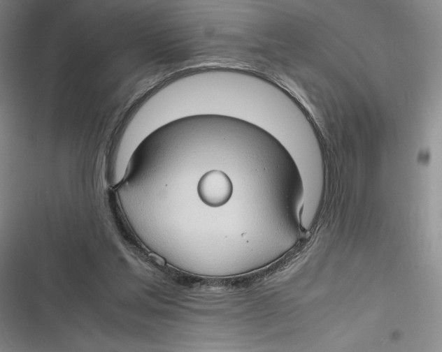 X0000116680205201001111339