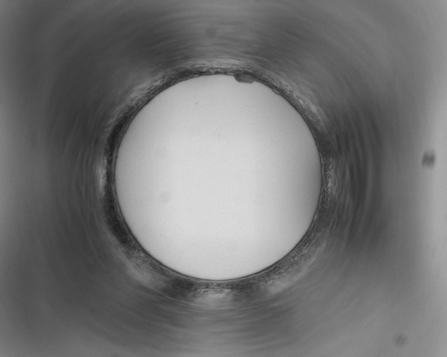 X0000116680206201001111339