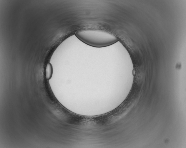 X0000116680207201001111339