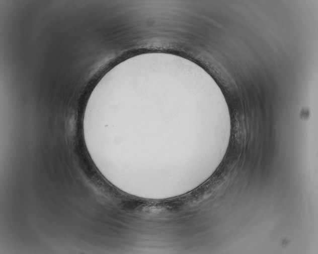 X0000116680208201001111339