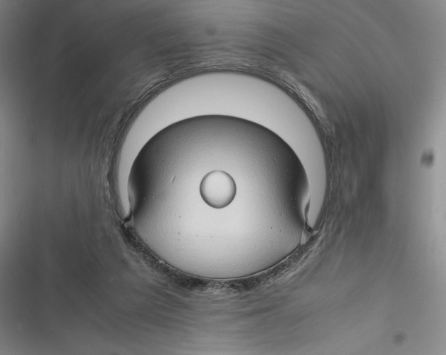 X0000116680209201001111339