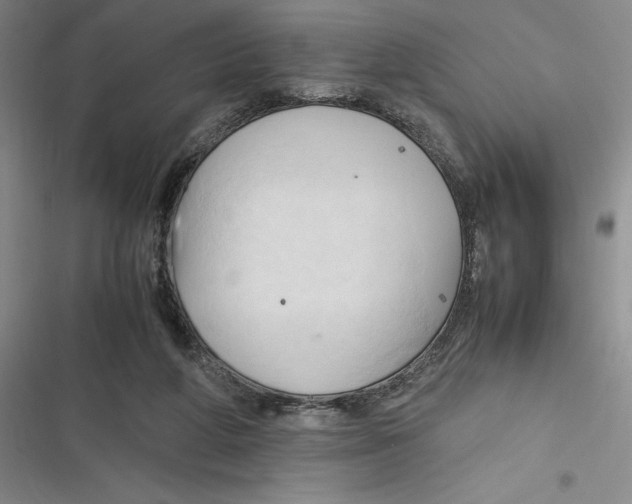 X0000116680210201001111339