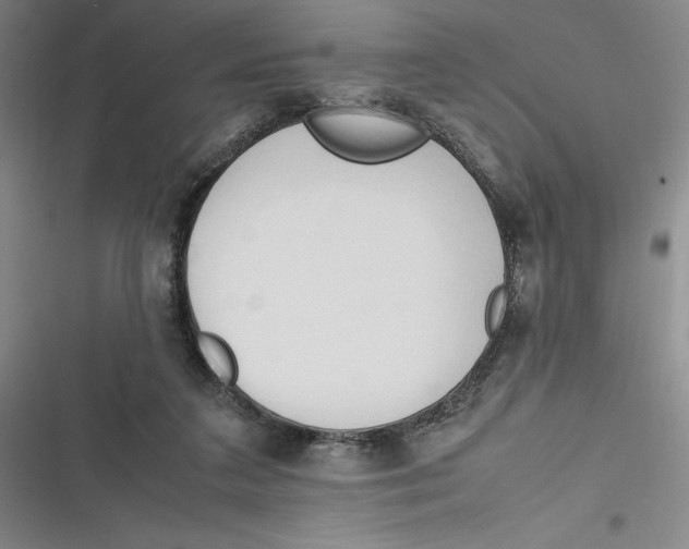 X0000116680211201001111338