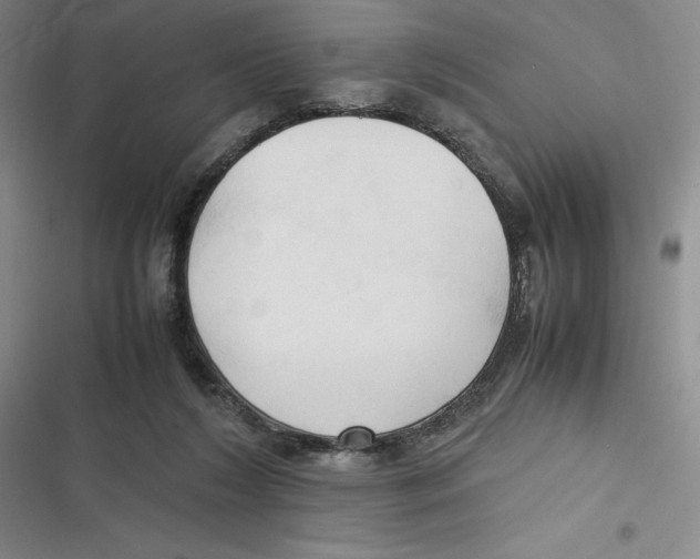 X0000116680212201001111338