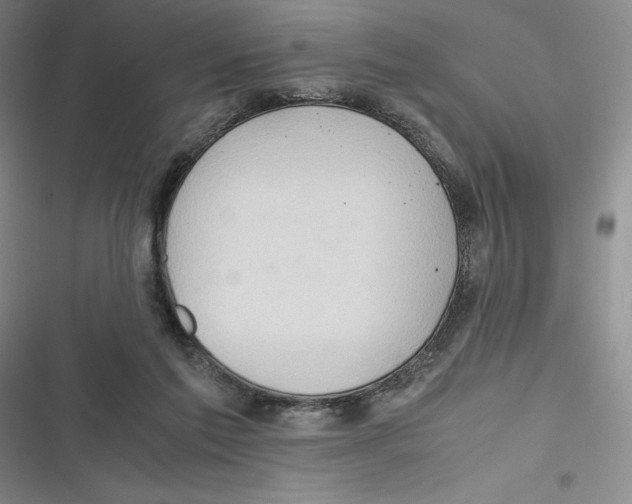 X0000116680213201001111338