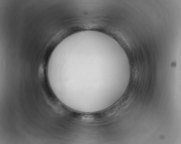 X0000116680214201001111338