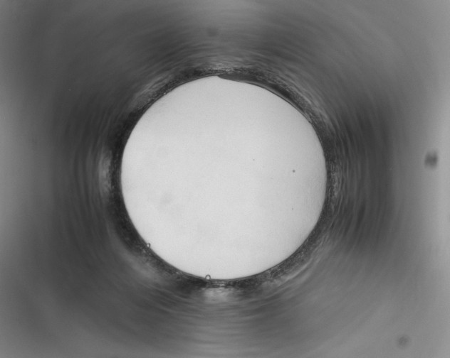 X0000116680216201001111338