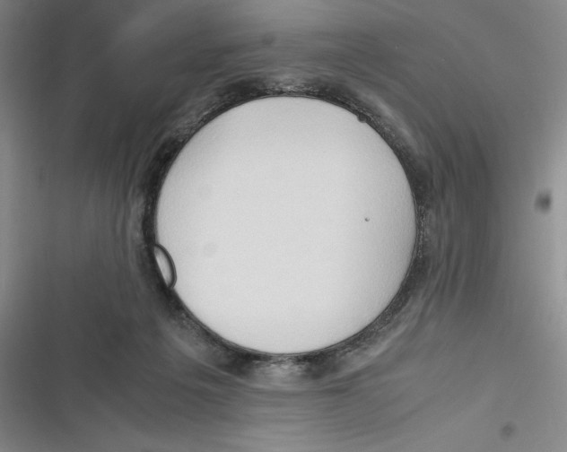 X0000116680217201001111338