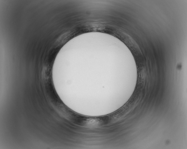 X0000116680218201001111338