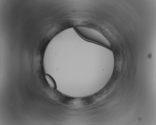 X0000116680219201001111338