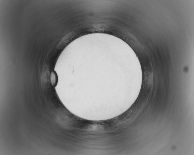 X0000116680220201001111338