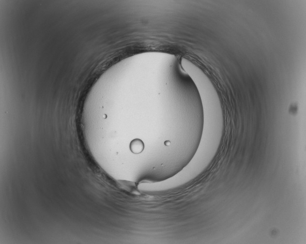 X0000116680221201001111338