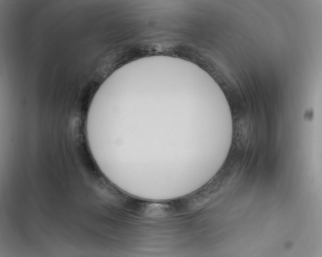 X0000116680222201001111338