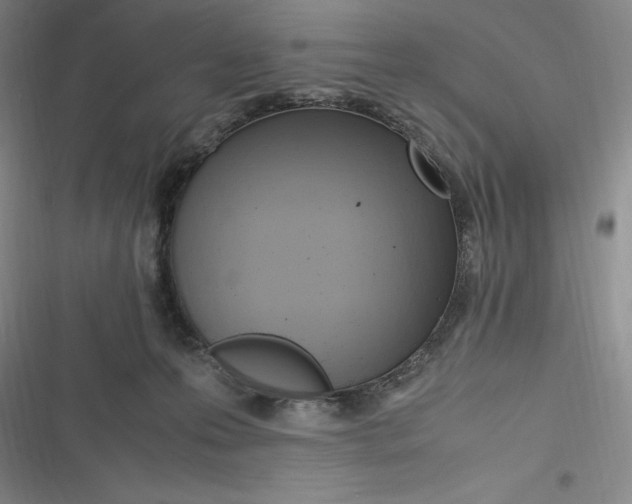 X0000116680223201001111338