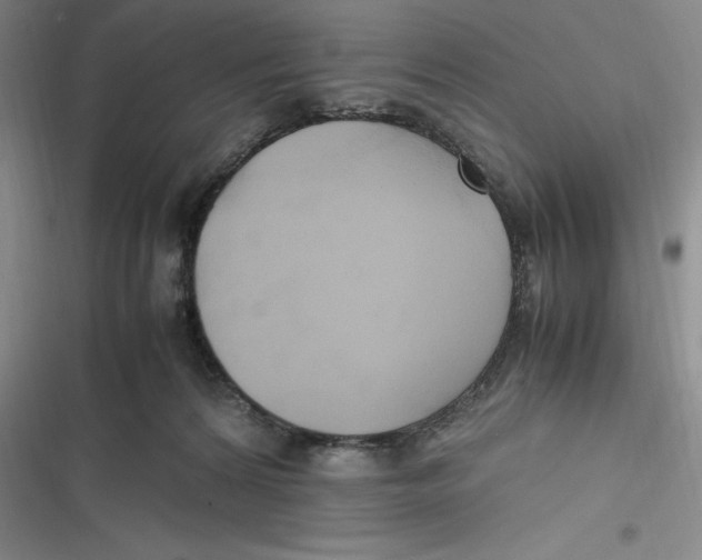 X0000116680224201001111338